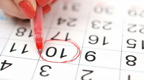 Расчет стоимости online